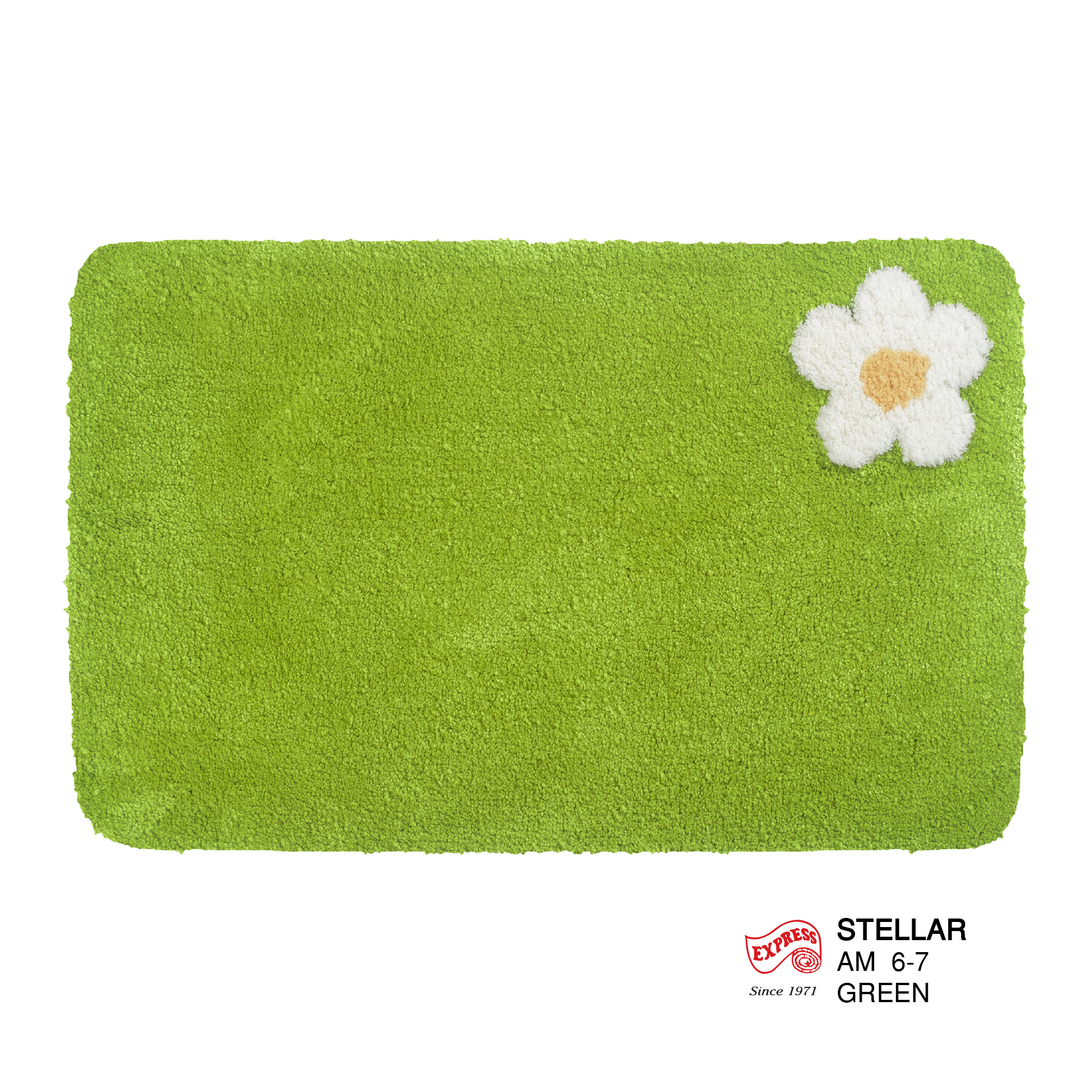 พรมเช็ดเท้าหน้าประตู (DOOR MAT) รุ่น STELLAR AM 6-7 GREEN สีเขียว