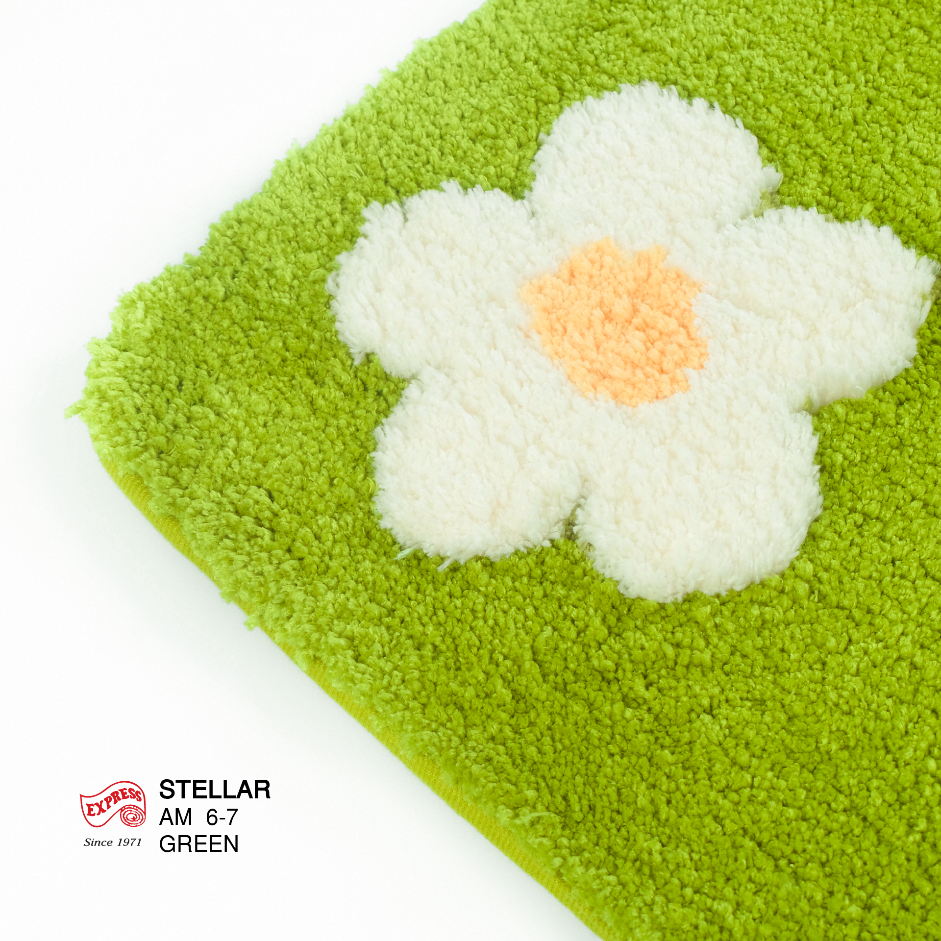 พรมเช็ดเท้าหน้าประตู (DOOR MAT) รุ่น STELLAR AM 6-7 GREEN สีเขียว