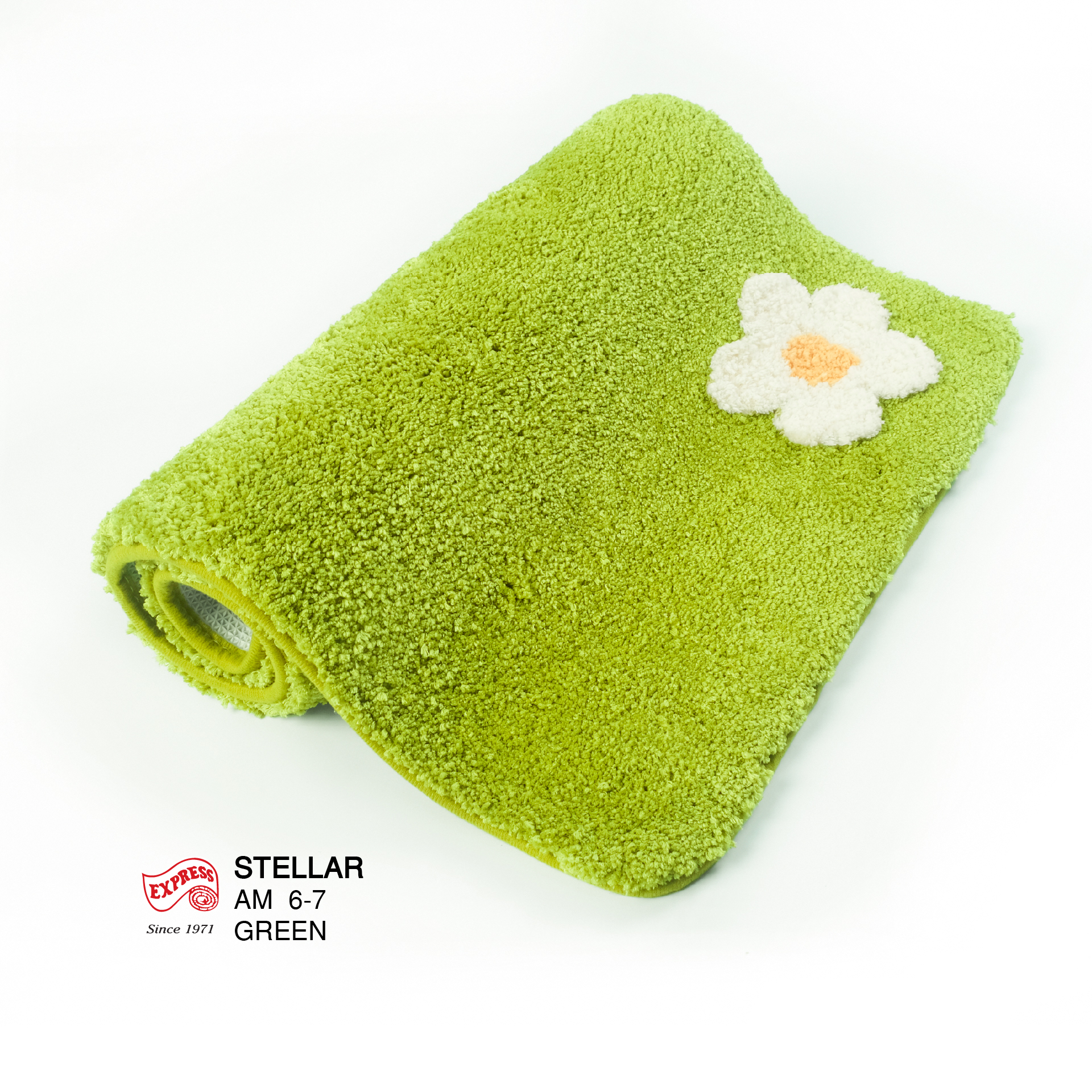 พรมเช็ดเท้าหน้าประตู (DOOR MAT) รุ่น STELLAR AM 6-7 GREEN สีเขียว