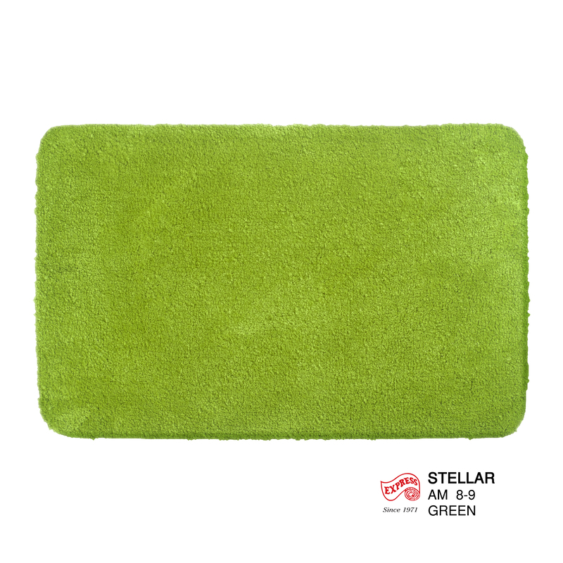 พรมเช็ดเท้าหน้าประตู (DOOR MAT) รุ่น STELLAR AM 8-9 GREEN สีเขียว